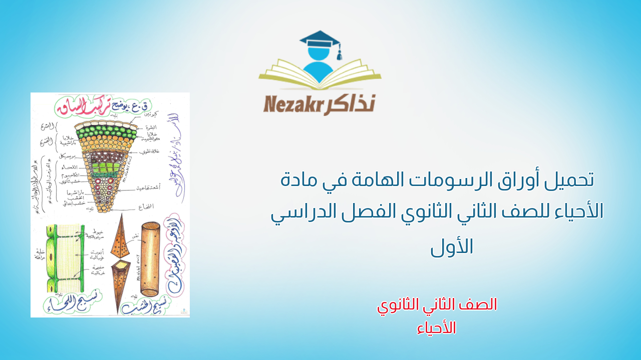 تحميل أوراق الرسومات الهامة في مادة الأحياء للصف الثاني الثانوي الفصل الدراسي الأول