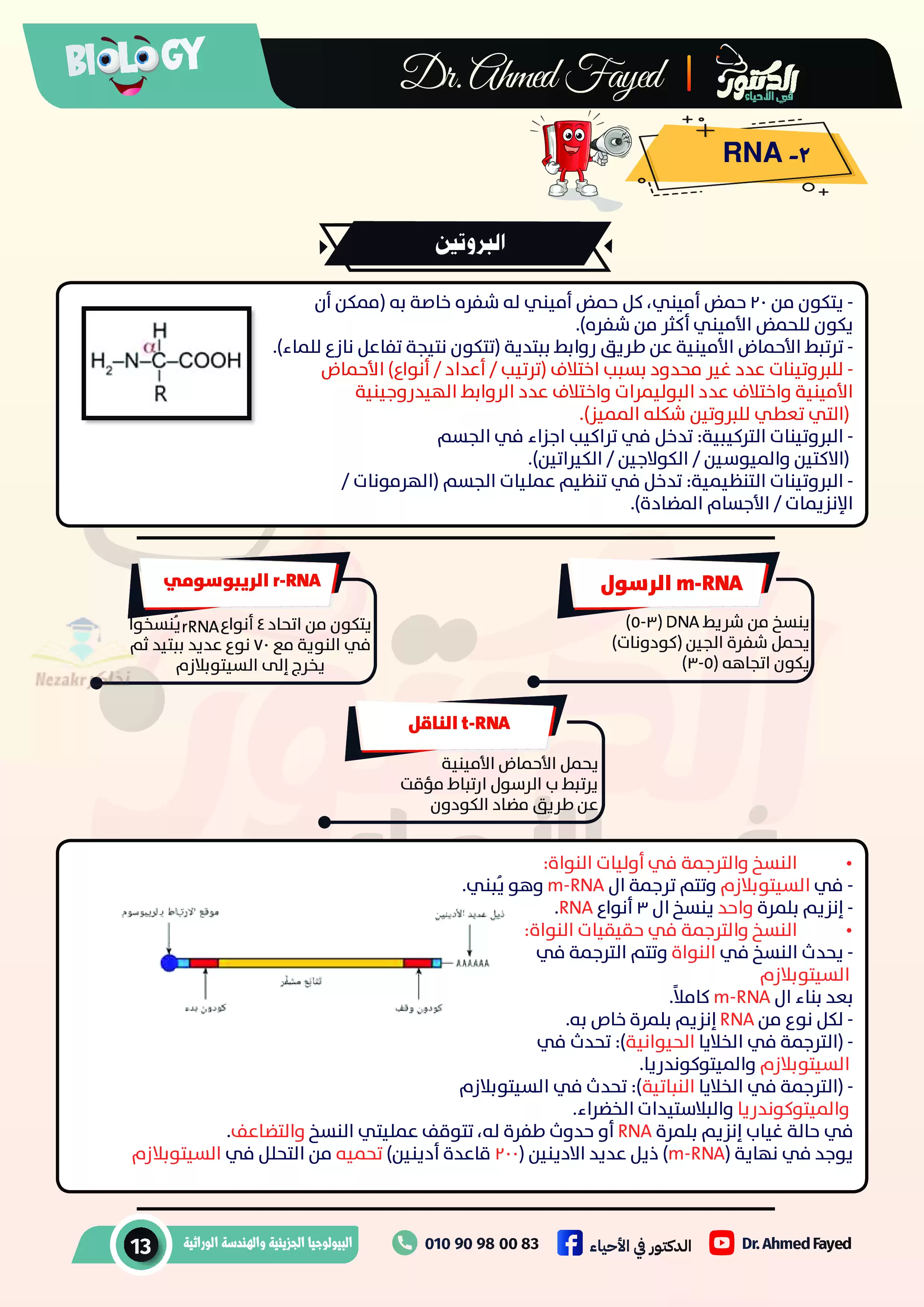 تحميل مذكرة الدكتور في الأحياء وشرح ملخص لـ RNA وتخليق البروتين مادة الأحياء للصف الثالث الثانوي