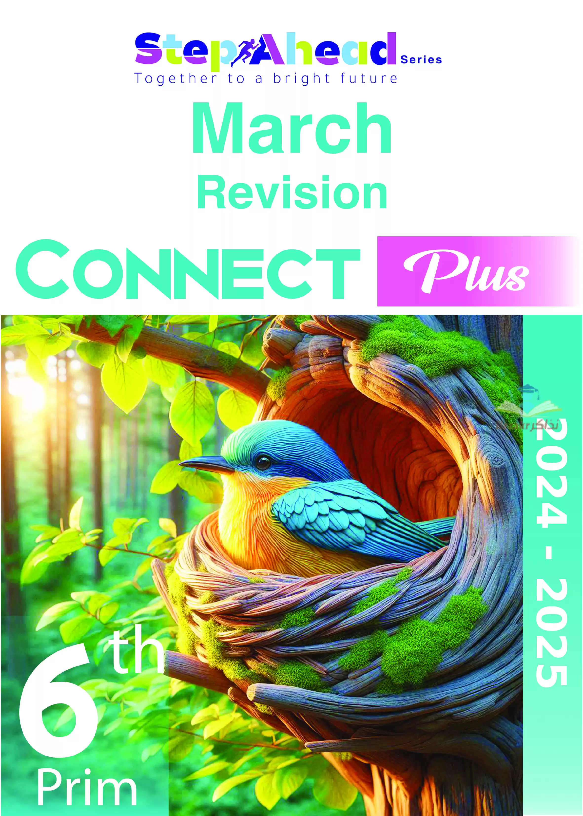 بالإجابات مراجعة وأسئلة كونكت بلس Connect Plus كتاب ستيب اهيد مقرر مارس 2025 سادسة ابتدائي