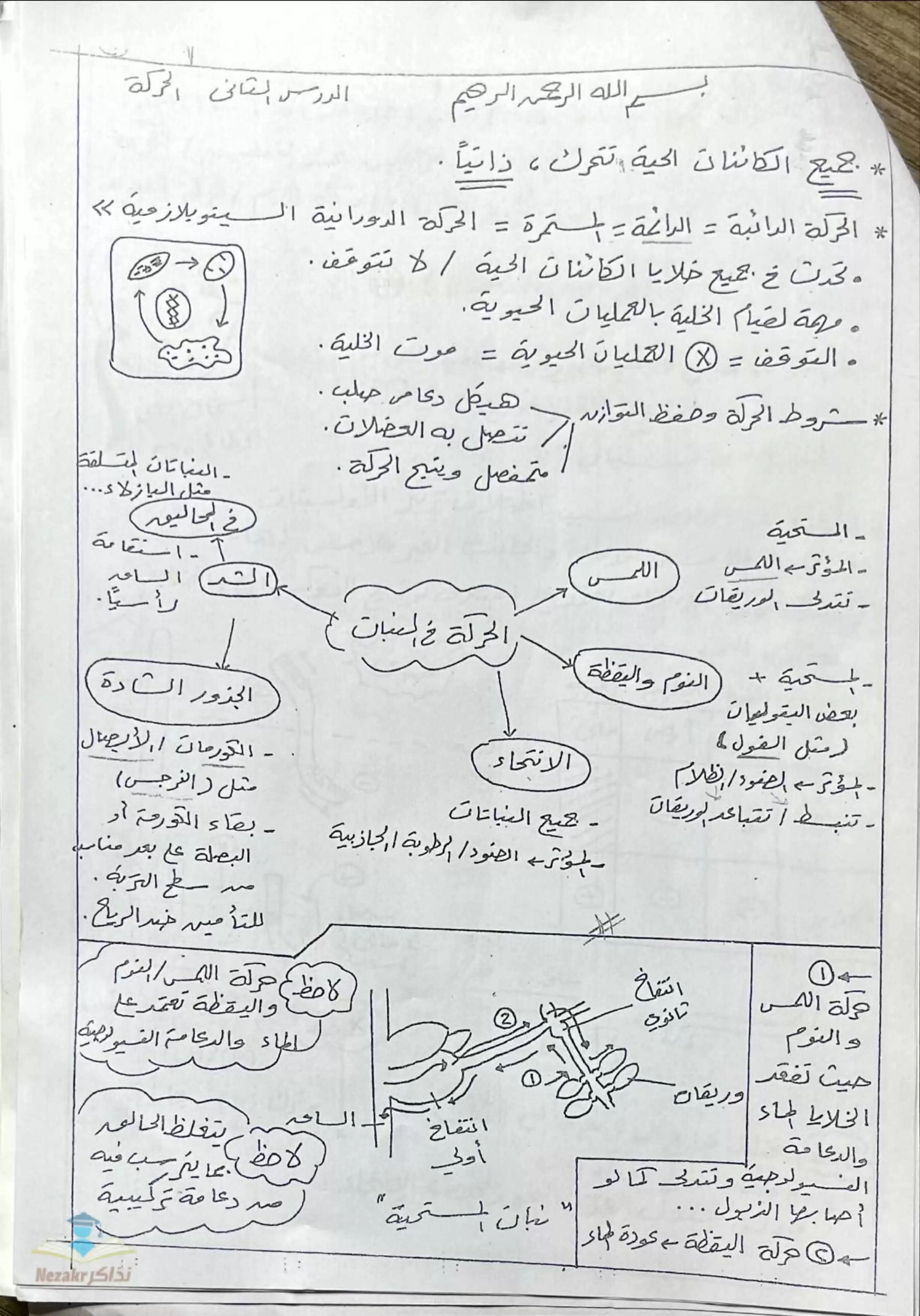 تحميل شرح ومراجعة أهم نقاط درس الحركة من الباب الأول من مادة الأحياء للثانوية العامة