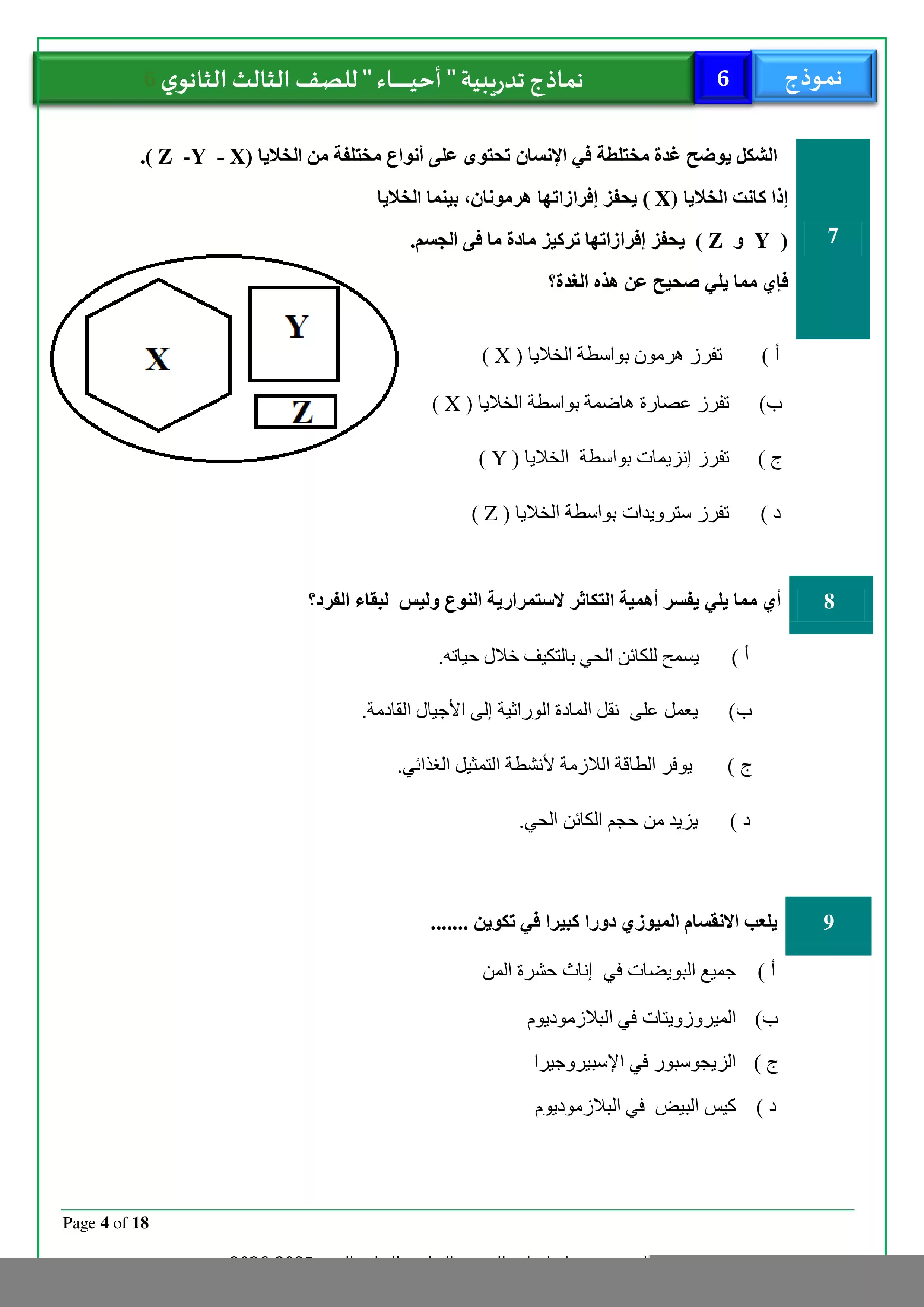 صفحة 4 من تحميل الامتحان التجريبي السادس أحياء للثانوية العامة 2026 PDF من نماذج وزارة التربية والتعليم