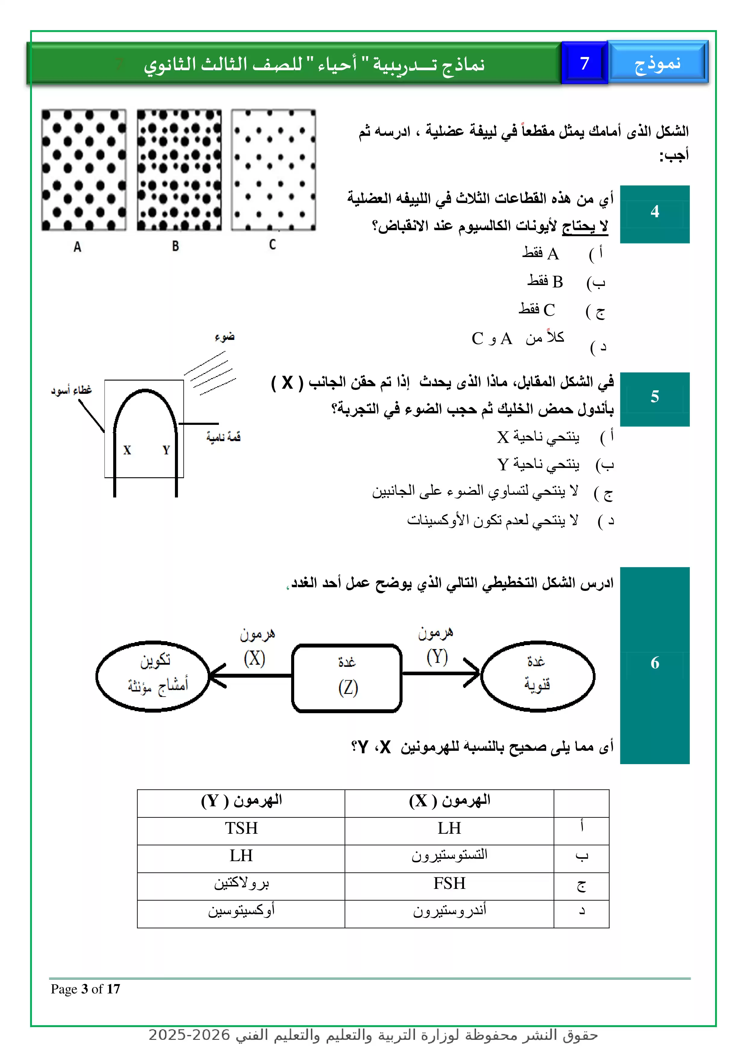 صفحة 3 من نموذج أحياء استرشادي رقم 7 للثانوية العامة 2026 للتدريب على امتحانات آخر العام