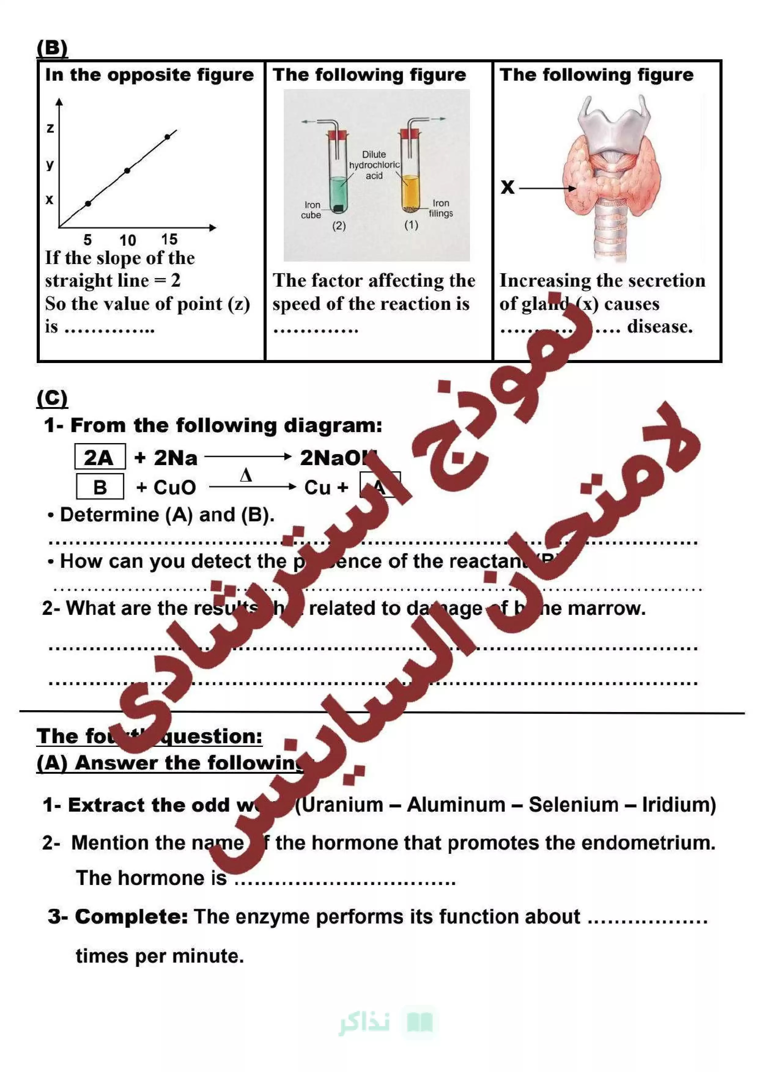 صفحة 3 من تحميل نماذج Science الاسترشادية للشهادة الإعدادية لغات محافظة دمياط الترم الثاني 2026 PDF