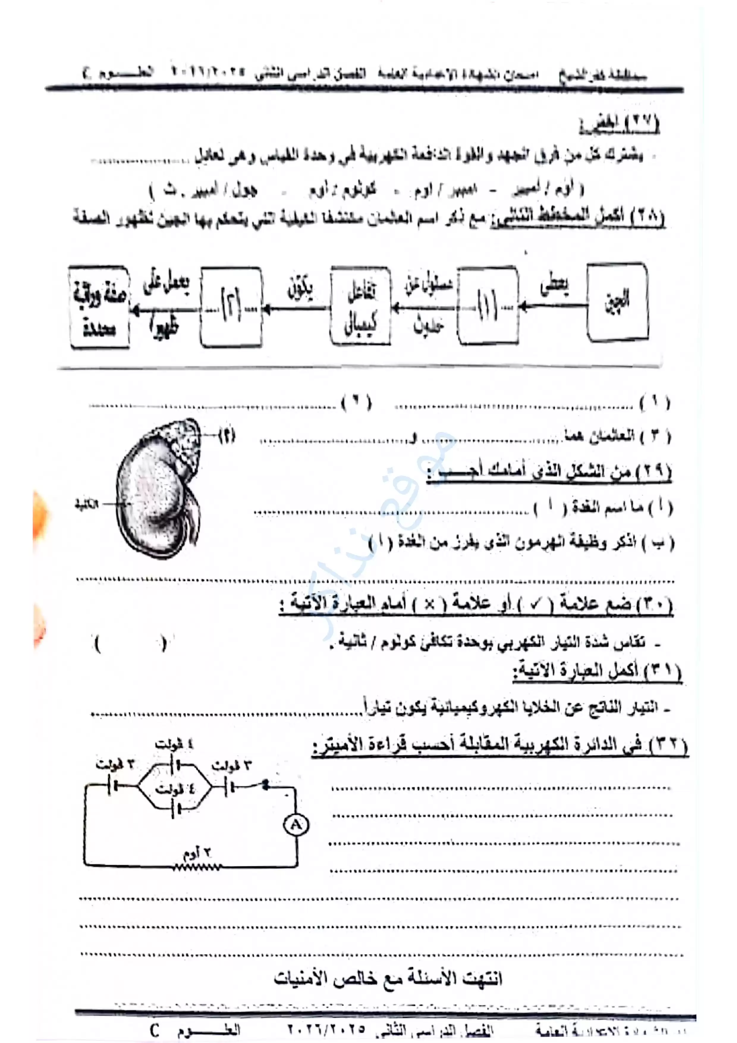 صفحة 6 من امتحان العلوم الرسمي محافظة كفر الشيخ للشهادة الإعدادية الترم الثاني 2026 PDF