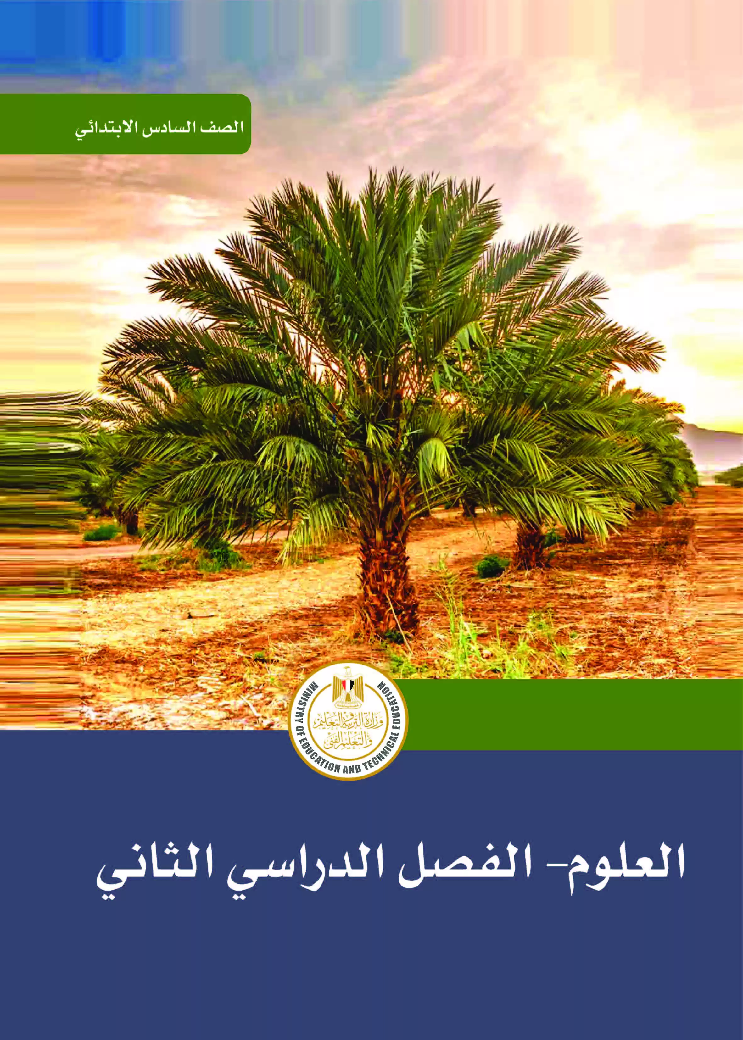 تحميل كتاب الوزارة فى العلوم للصف السادس الابتدائى الترم الثانى 2025  المنهج الجديد بصيغة PDF