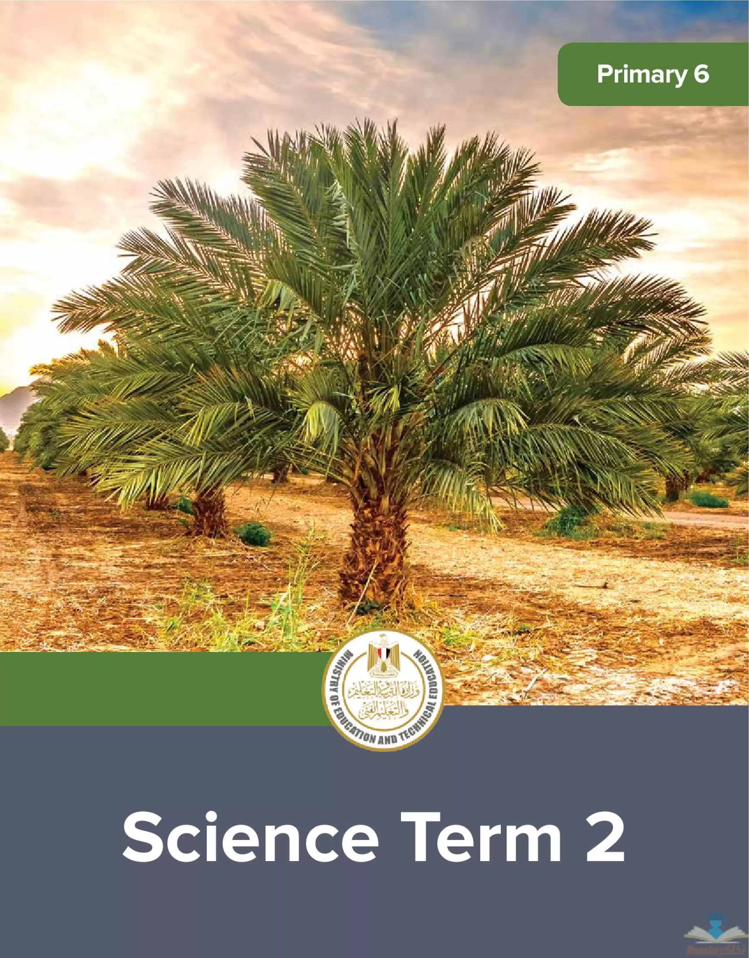 تحميل كتاب Science للصف السادس الابتدائي الترم الثاني 2024 بصيغة PDF المنهج الجديد