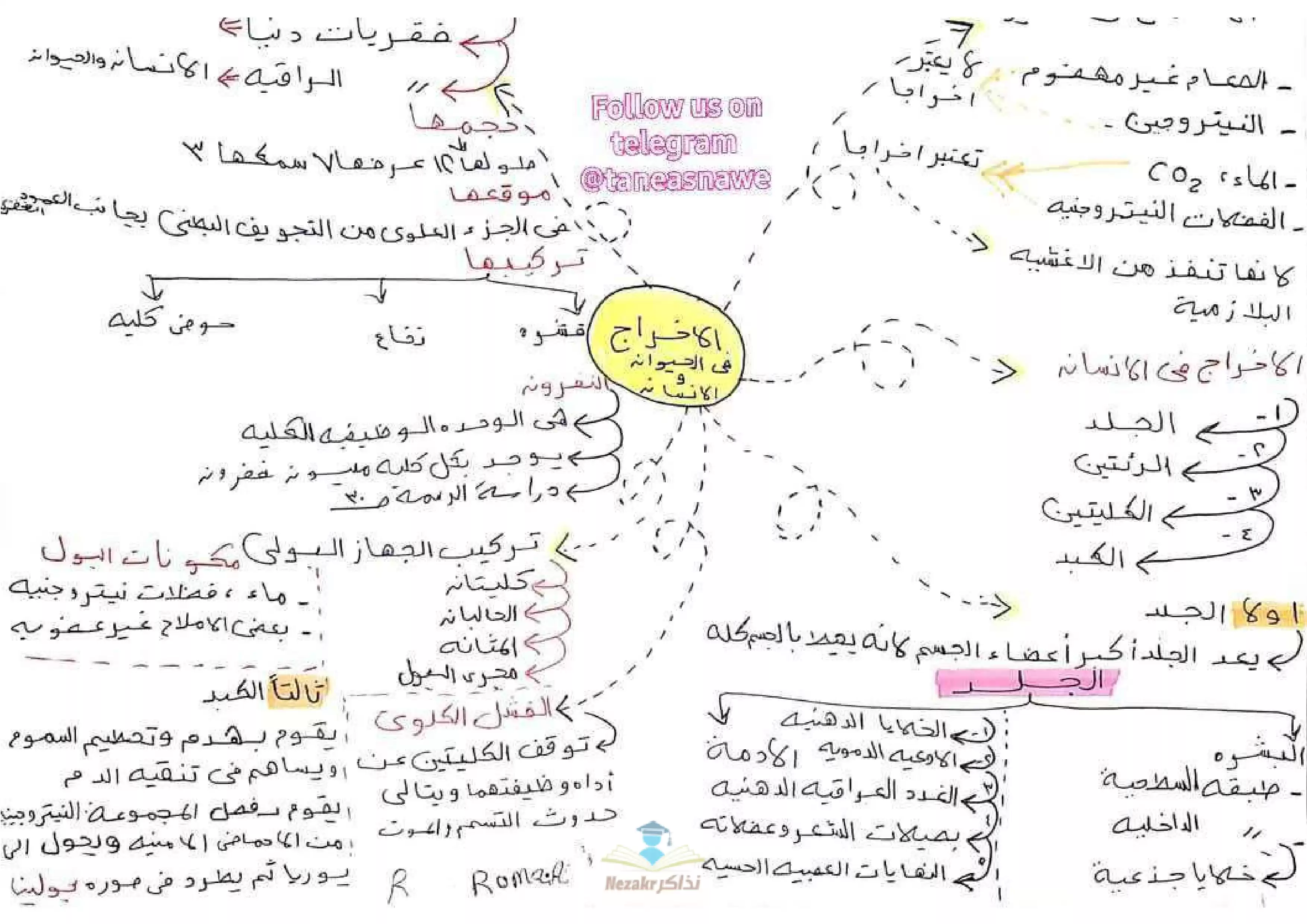 مراجعة نهائية في الأحياء للصف الثاني الثانوي الفصل الدراسي الثاني