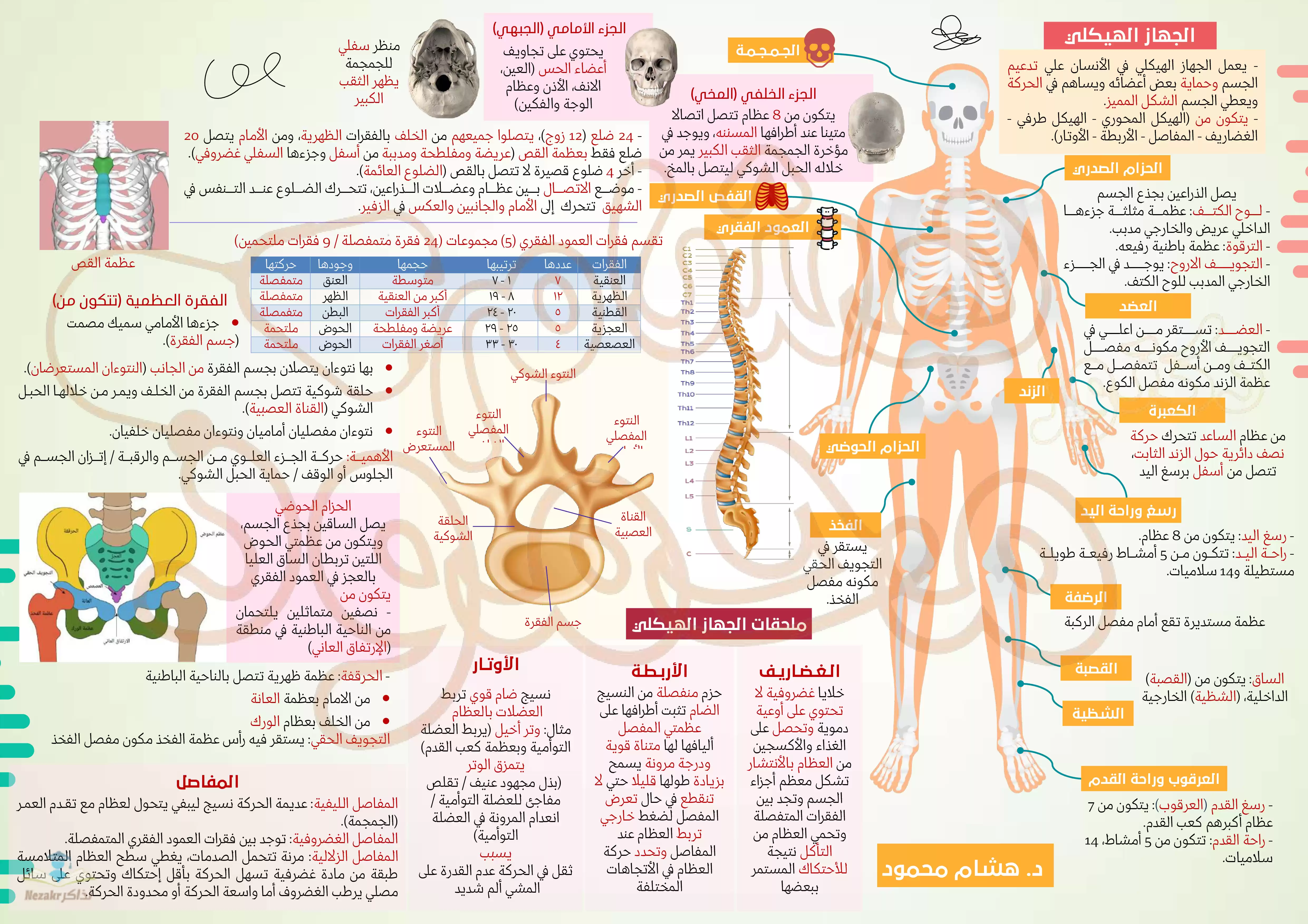 ملخص منهج الأحياء كاملاً للصف الثالث الثانوي في 15 ورقة فقط بنظام الخرائط الذهنية