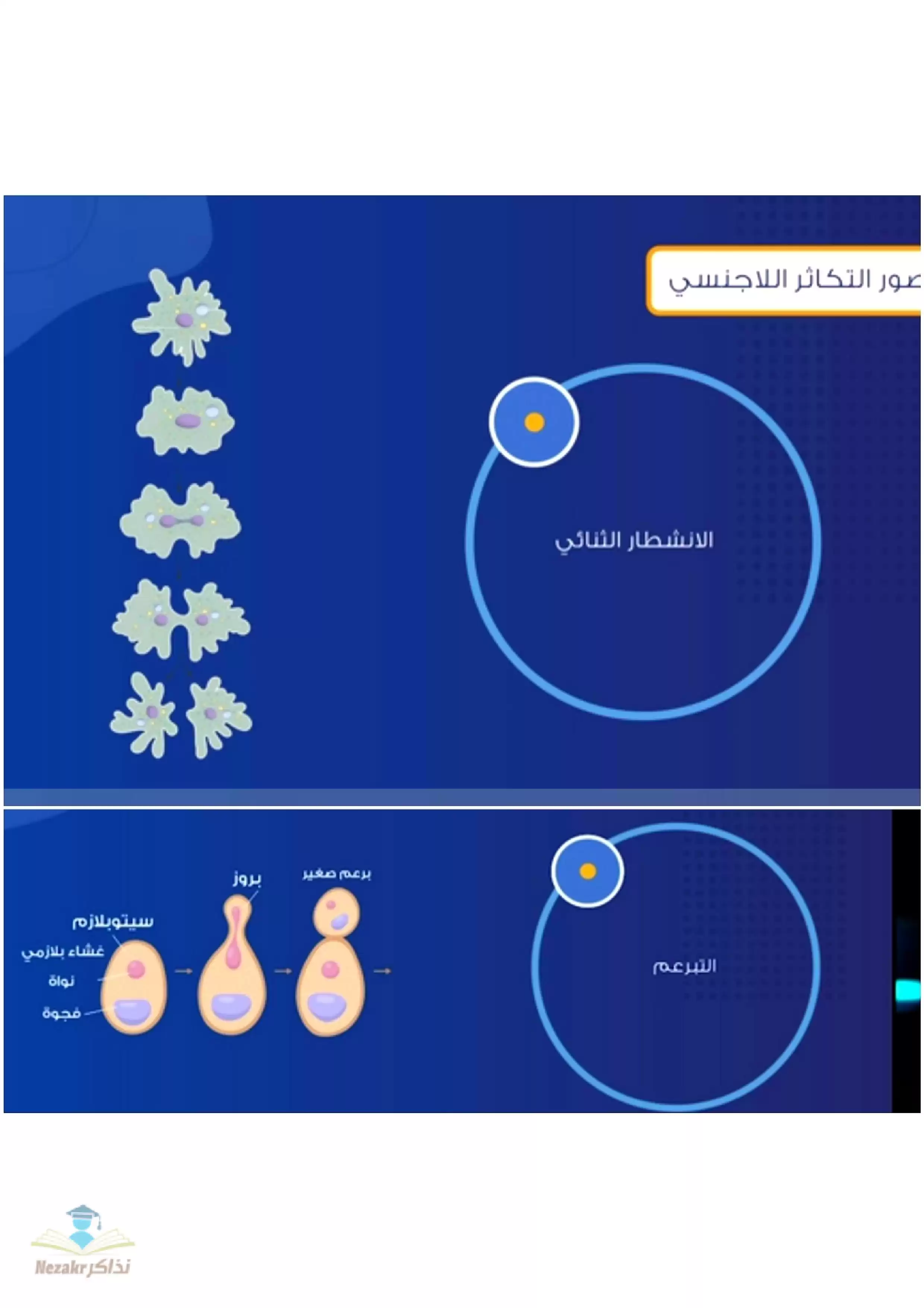 مراجعة عامة وأسئلة على باب التكاثر في الكائنات الحية من حصص مصر